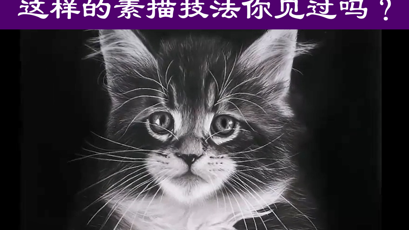 这样的素描技法你见过吗?很真实~